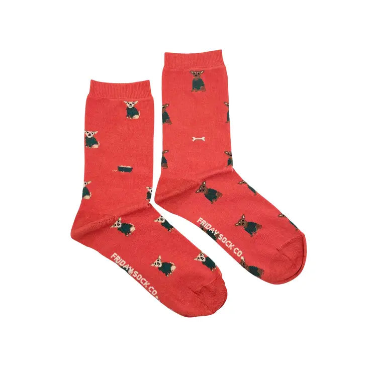Women's Little Dog in Sweaters Socks