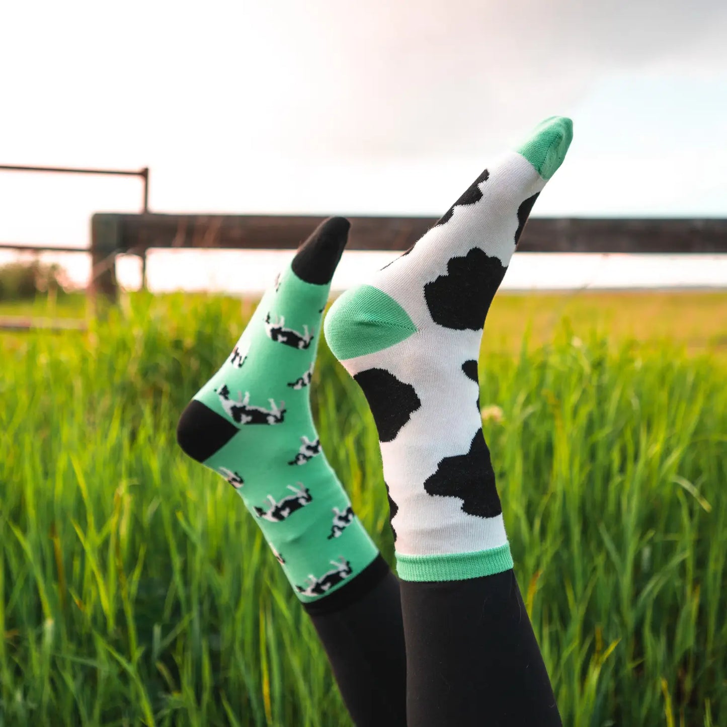 Women’s Cow Pattern Socks