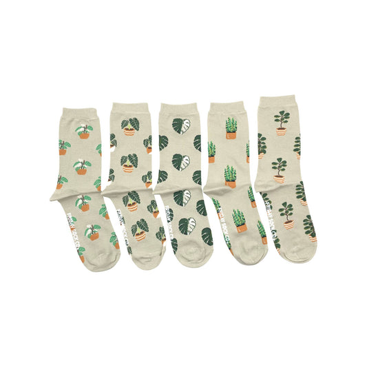 Plant Socks 'Laundry Box'